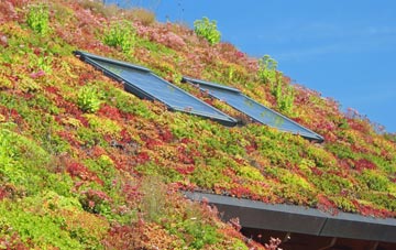 Up Mudford living roof systems
