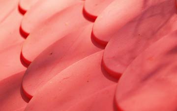 Up Mudford plastic roof costs